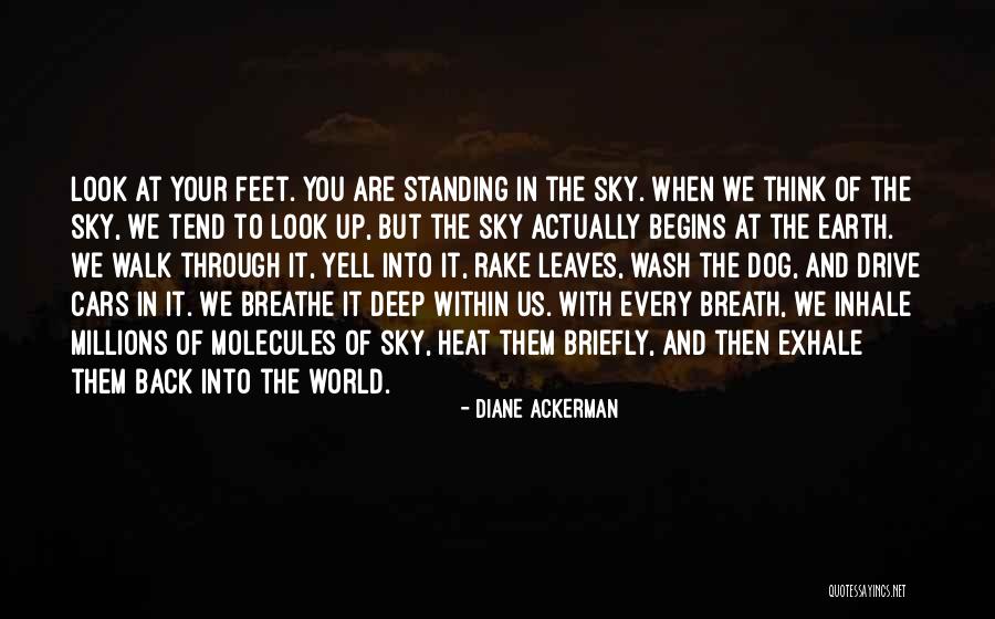 Christophers Subs Quotes By Diane Ackerman Christophers Subs Quotes By Diane Ackerman