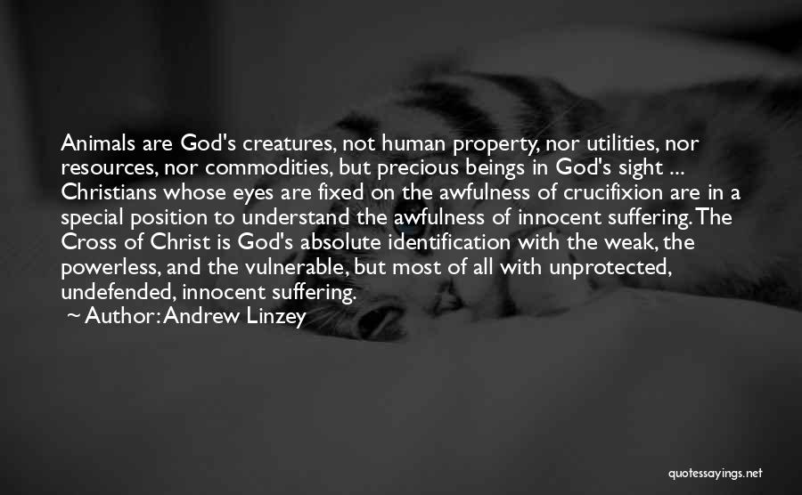 Christ's Crucifixion Quotes By Andrew Linzey
