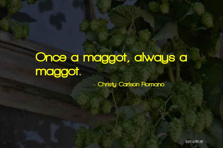 Christy Carlson Romano Quotes 900374 Christy Carlson Romano Quotes 900374