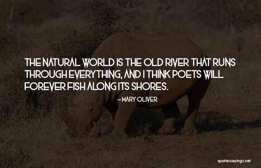 Christys Donuts Quotes By Mary Oliver Christys Donuts Quotes By Mary Oliver
