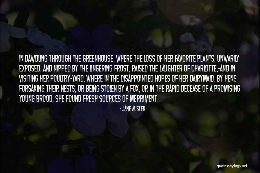 Chrobok Homolka Quotes By Jane Austen Chrobok Homolka Quotes By Jane Austen
