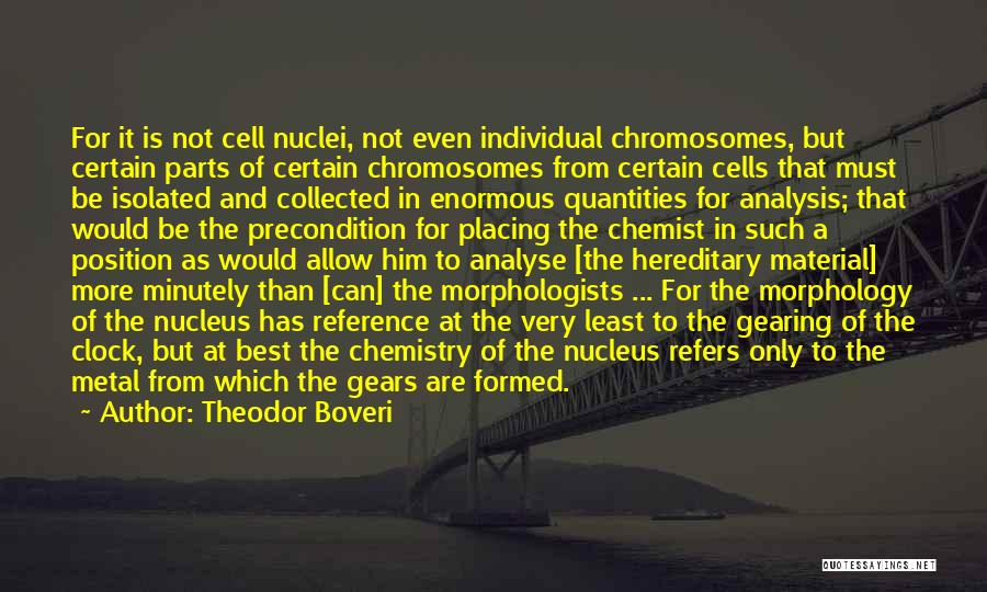 Chromosome Quotes By Theodor Boveri