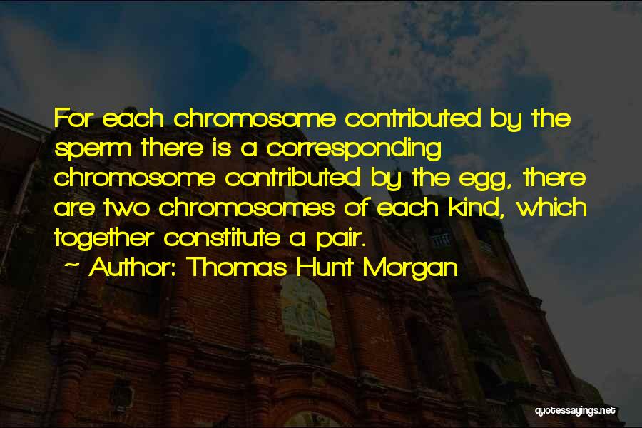Chromosome Quotes By Thomas Hunt Morgan