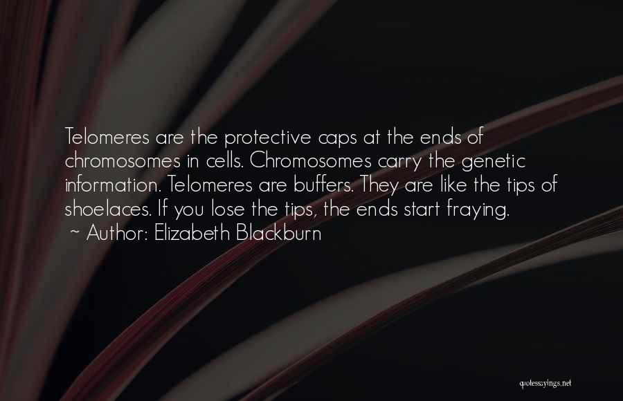 Chromosomes Quotes By Elizabeth Blackburn