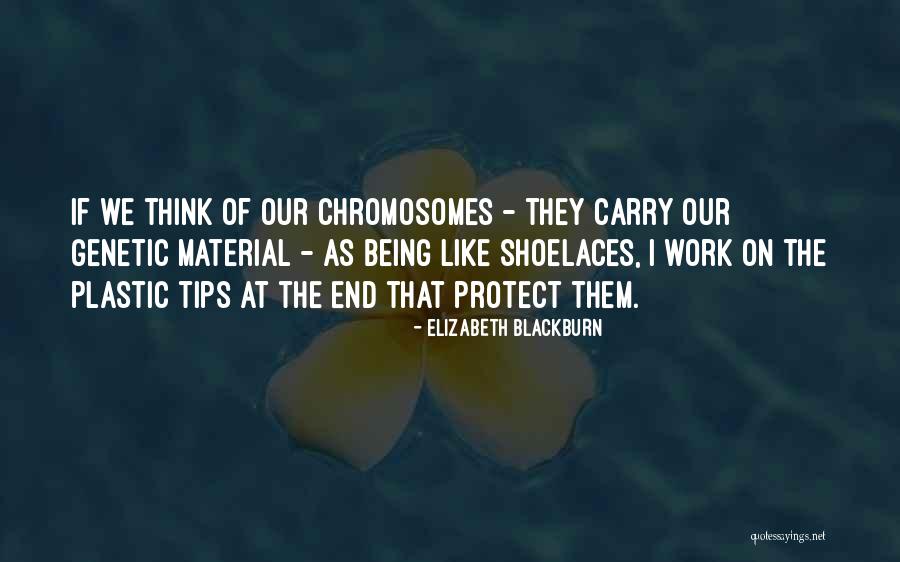 Chromosomes Quotes By Elizabeth Blackburn