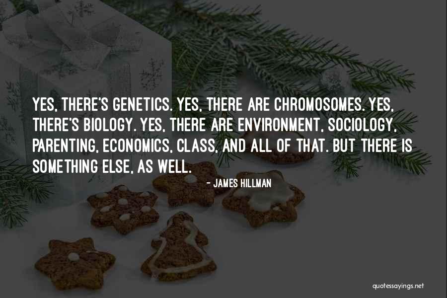 Chromosomes Quotes By James Hillman