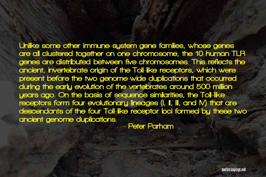 Chromosomes Quotes By Peter Parham