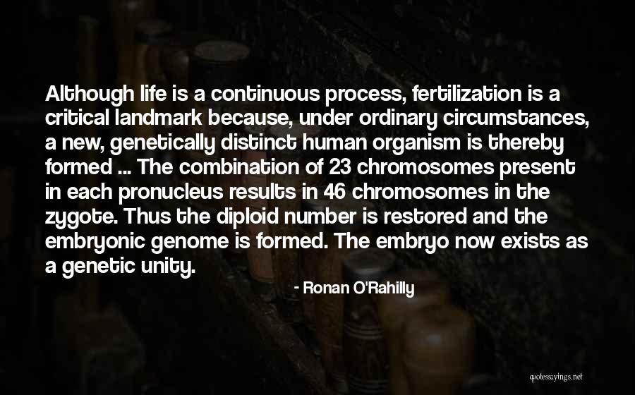 Chromosomes Quotes By Ronan O'Rahilly