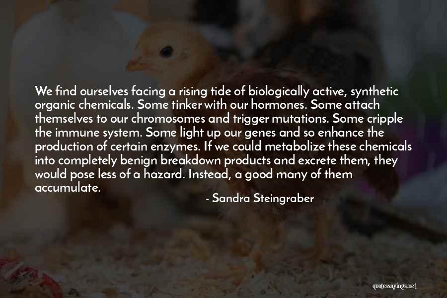 Chromosomes Quotes By Sandra Steingraber