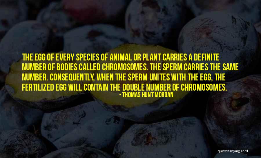 Chromosomes Quotes By Thomas Hunt Morgan