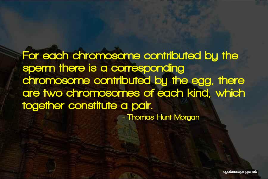 Chromosomes Quotes By Thomas Hunt Morgan