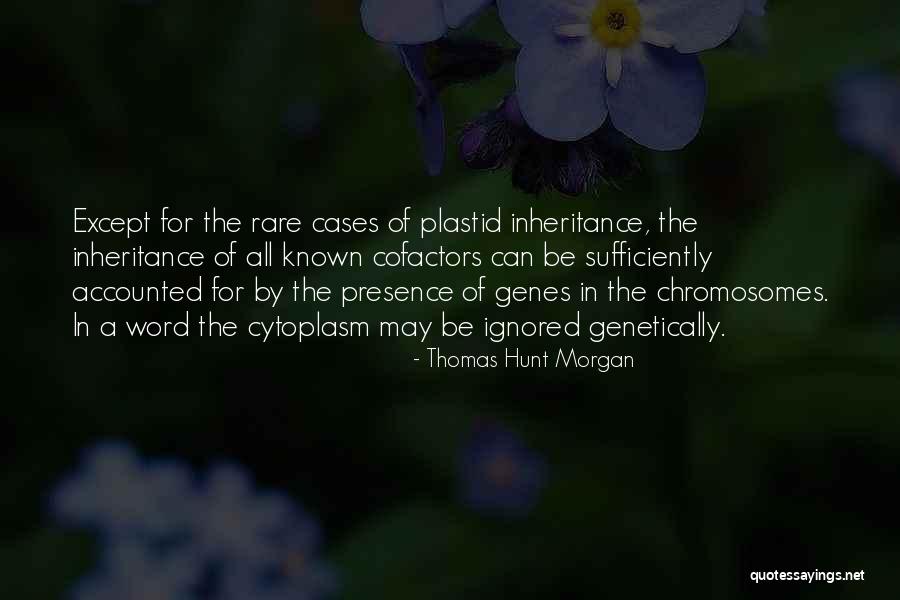 Chromosomes Quotes By Thomas Hunt Morgan