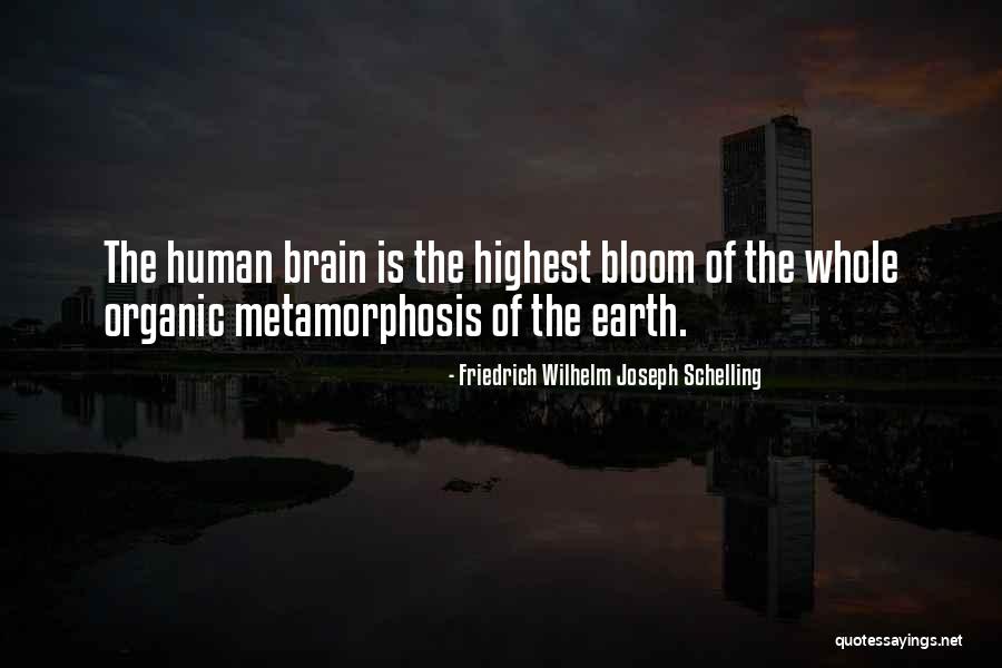 Chronia Polla Quotes By Friedrich Wilhelm Joseph Schelling Chronia Polla Quotes By Friedrich Wilhelm Joseph Schelling