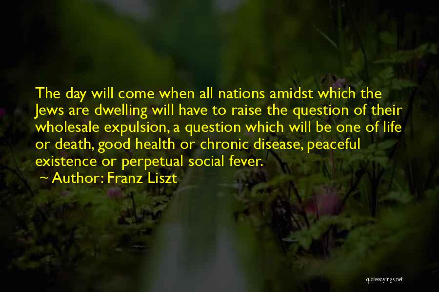 Chronic Disease Quotes By Franz Liszt