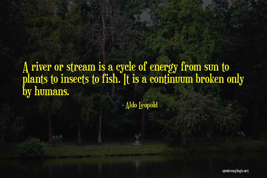 Chronicler Of The English Restoration Quotes By Aldo Leopold Chronicler Of The English Restoration Quotes By Aldo Leopold