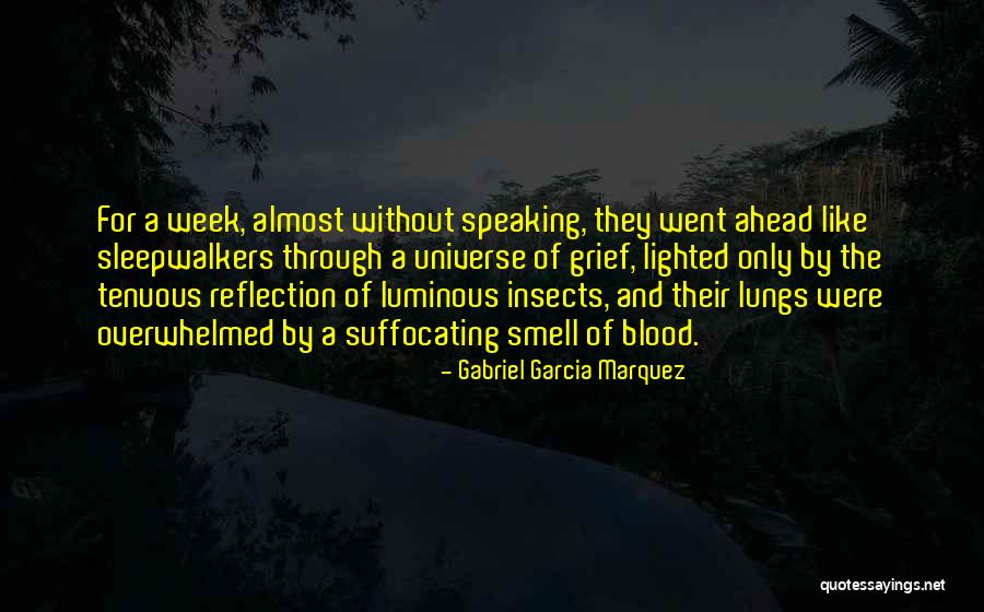 Chronicles Of Narnia The Voyage Of The Dawn Treader Aslan Quotes By Gabriel Garcia Marquez Chronicles Of Narnia The Voyage Of The Dawn Treader Aslan Quotes By Gabriel Garcia Marquez