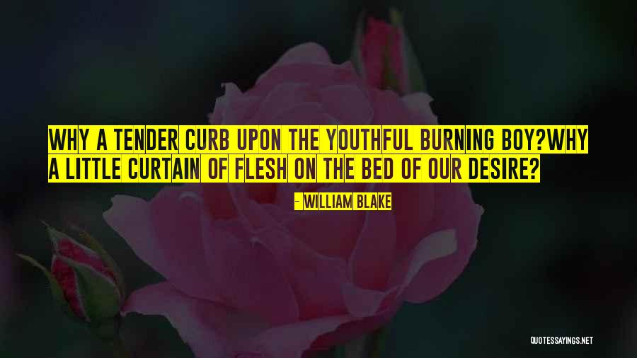 Chronicles Of Nick Illusion Quotes By William Blake Chronicles Of Nick Illusion Quotes By William Blake