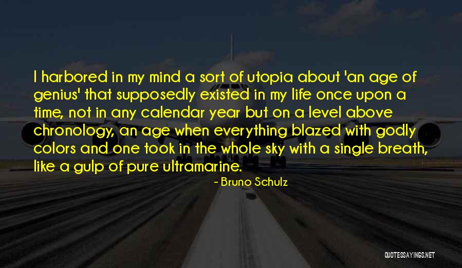 Chronology Quotes By Bruno Schulz