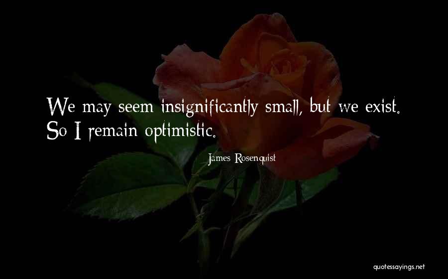Chroustovice Quotes By James Rosenquist Chroustovice Quotes By James Rosenquist