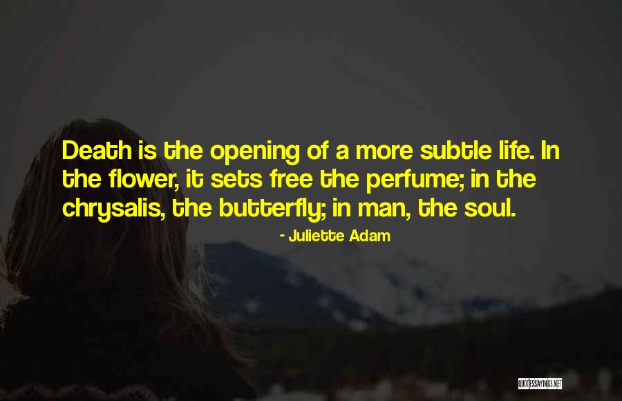 Chrysalis Butterfly Quotes By Juliette Adam Chrysalis Butterfly Quotes By Juliette Adam