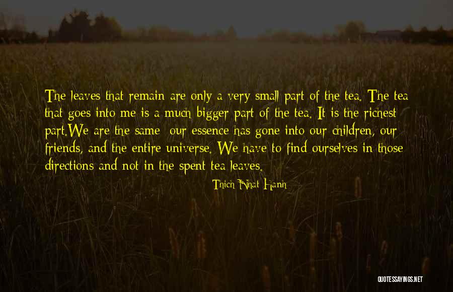 Chrysalises Pronunciation Quotes By Thich Nhat Hanh Chrysalises Pronunciation Quotes By Thich Nhat Hanh