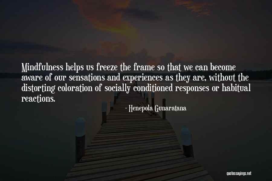 Chrystal Rucker Quotes By Henepola Gunaratana Chrystal Rucker Quotes By Henepola Gunaratana