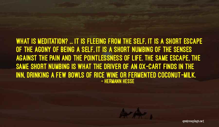 Chuang Tzu Pdf Quotes By Hermann Hesse Chuang Tzu Pdf Quotes By Hermann Hesse