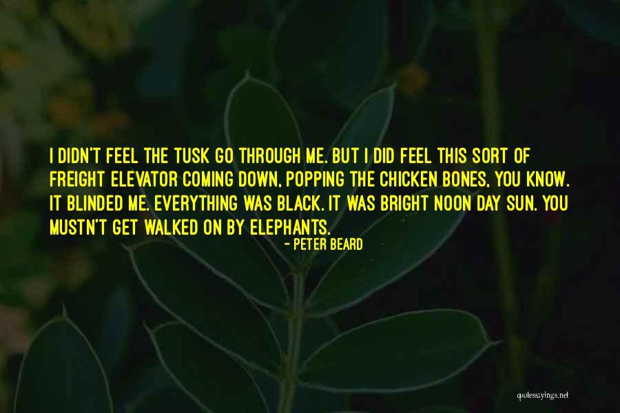 Chuao Quotes By Peter Beard Chuao Quotes By Peter Beard