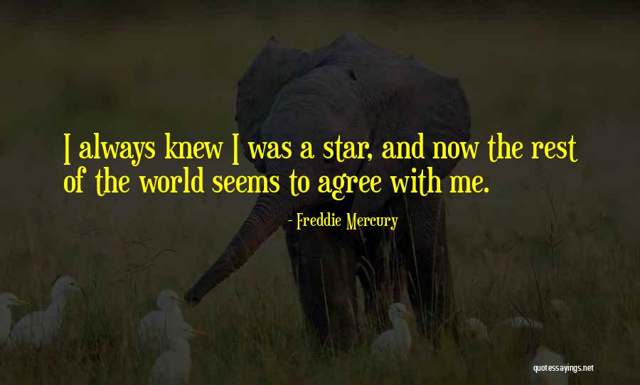 Chubbys Restaurant Quotes By Freddie Mercury Chubbys Restaurant Quotes By Freddie Mercury