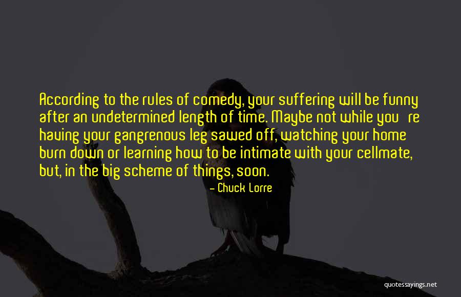 Chuck Lorre Quotes 2177252