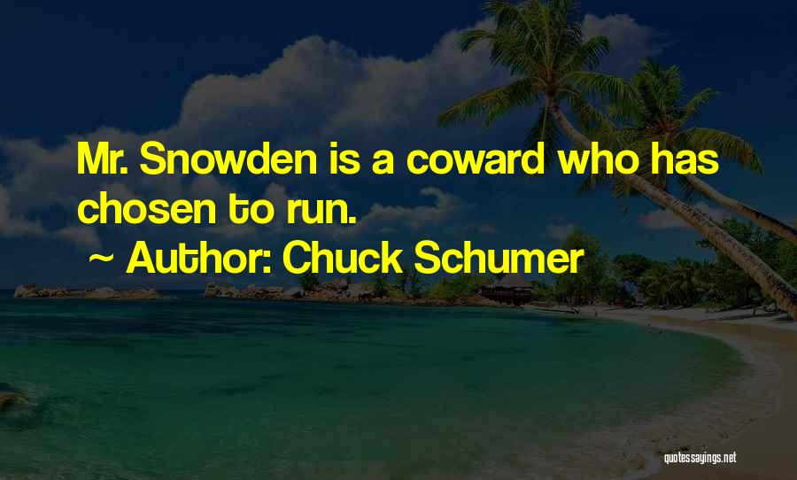 Chuck Schumer Quotes 1248640