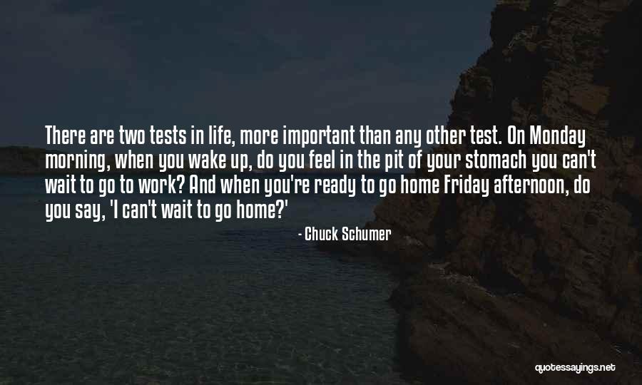 Chuck Schumer Quotes 1441953 Chuck Schumer Quotes 1441953