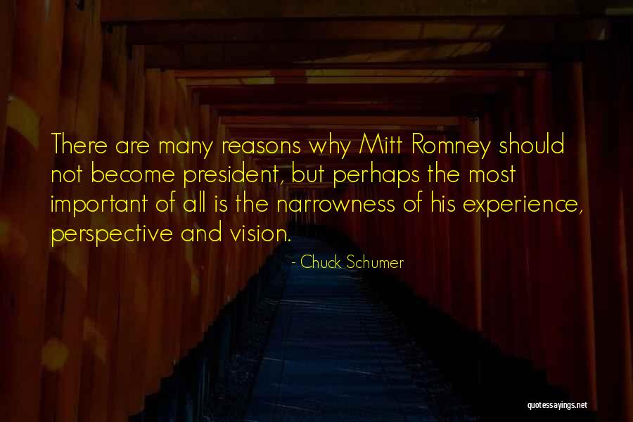 Chuck Schumer Quotes 1721206 Chuck Schumer Quotes 1721206