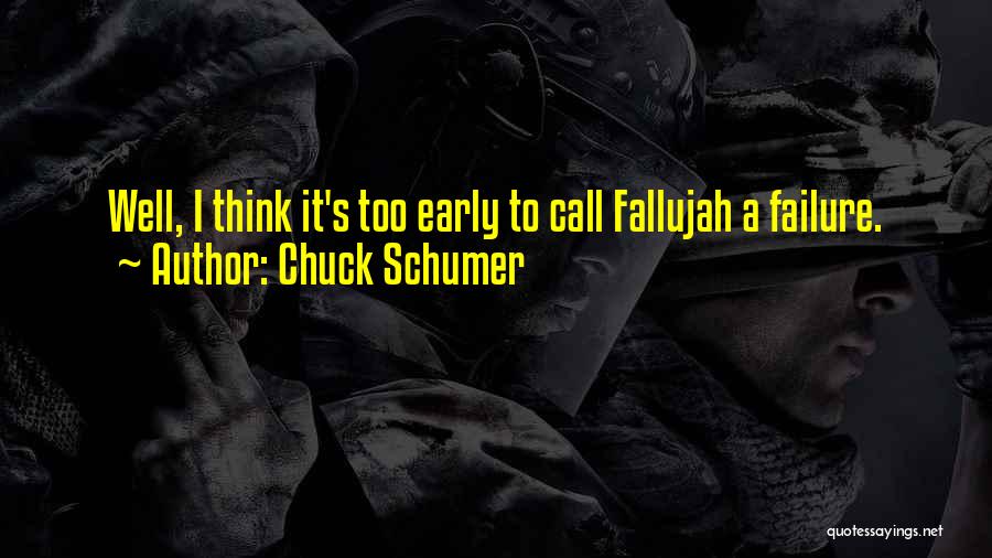 Chuck Schumer Quotes 1907754