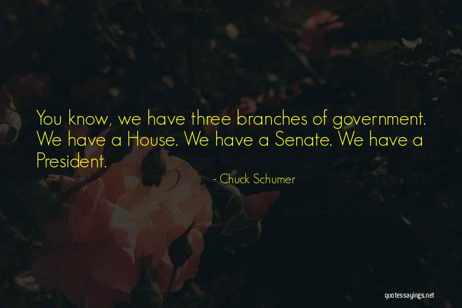 Chuck Schumer Quotes 527320 Chuck Schumer Quotes 527320