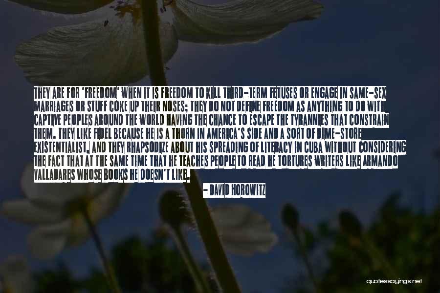 Chucking Ukulele Quotes By David Horowitz