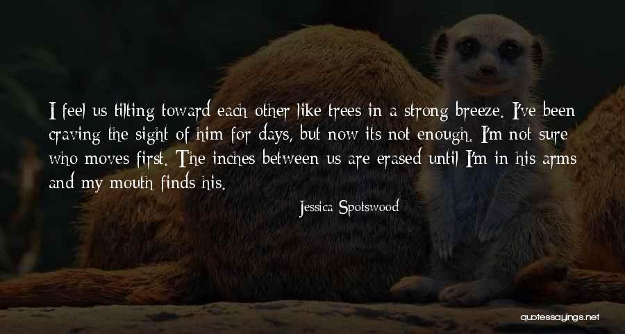 Chucko The Birthday Quotes By Jessica Spotswood Chucko The Birthday Quotes By Jessica Spotswood