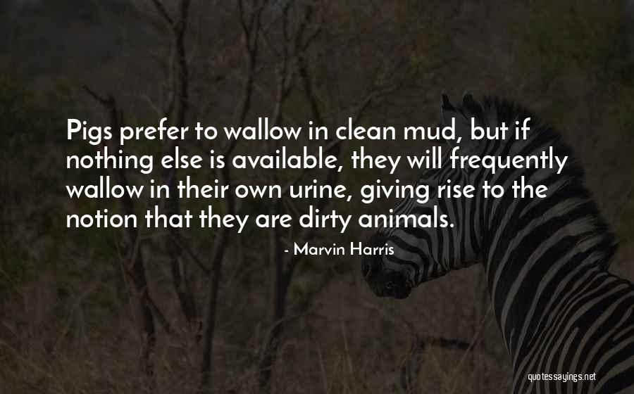 Chude Jideonwo Quotes By Marvin Harris Chude Jideonwo Quotes By Marvin Harris