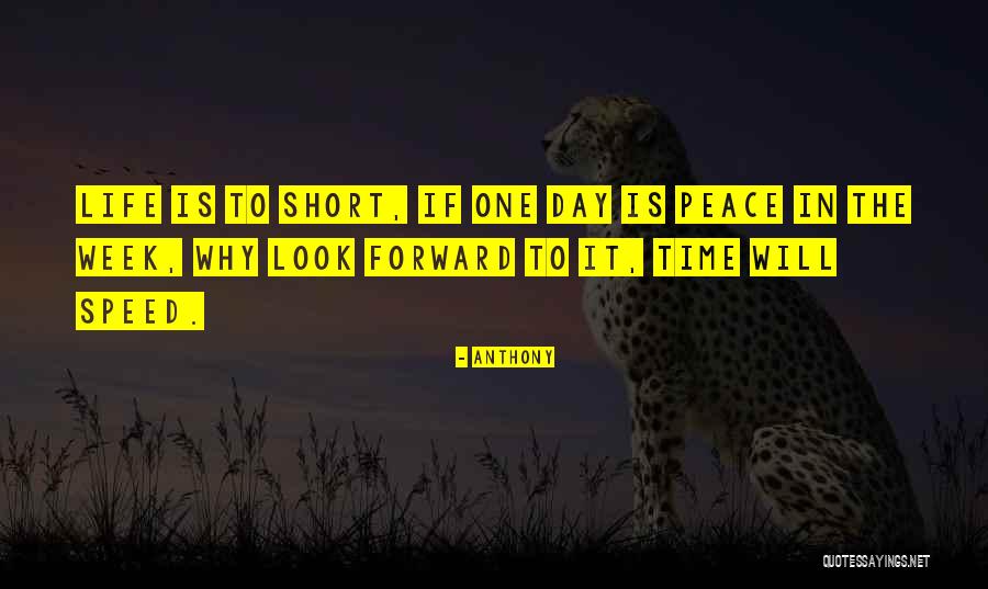 Chudej Dana Quotes By Anthony Chudej Dana Quotes By Anthony