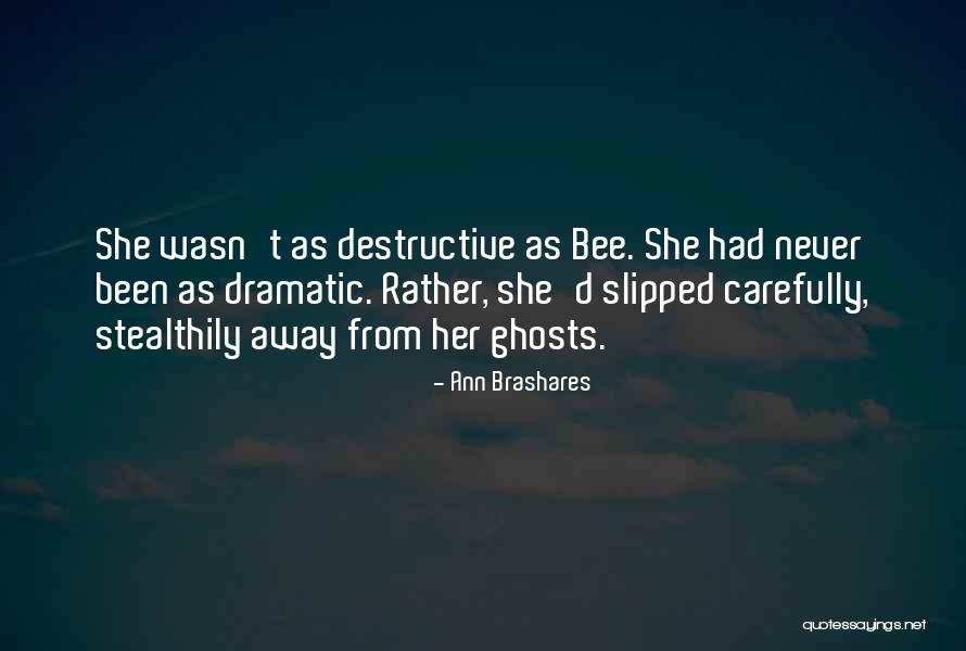 Chukkas Quotes By Ann Brashares Chukkas Quotes By Ann Brashares