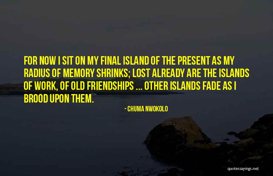 Chuma Nwokolo Quotes 1982883 Chuma Nwokolo Quotes 1982883