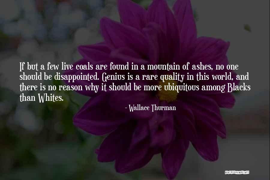 Chunk From Goonies Quotes By Wallace Thurman Chunk From Goonies Quotes By Wallace Thurman