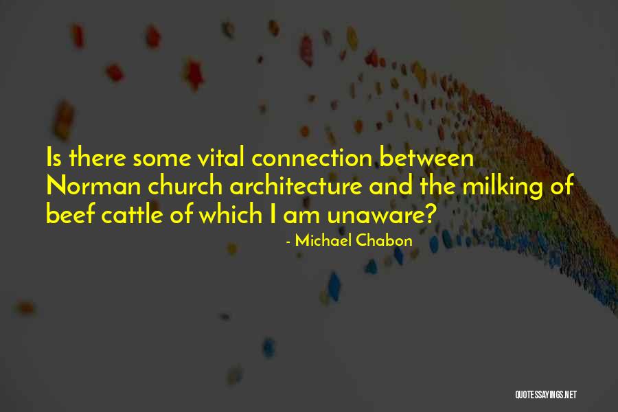 Church Architecture Quotes By Michael Chabon