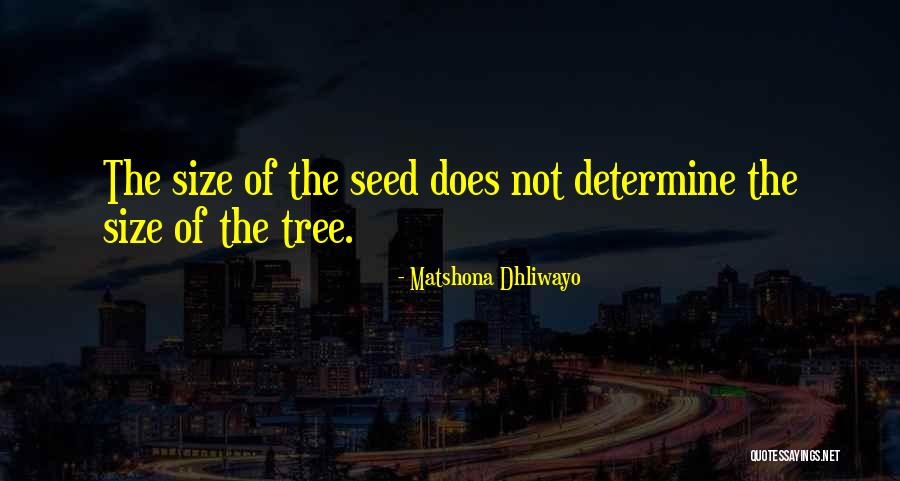 Church Bulletin Filler Quotes By Matshona Dhliwayo