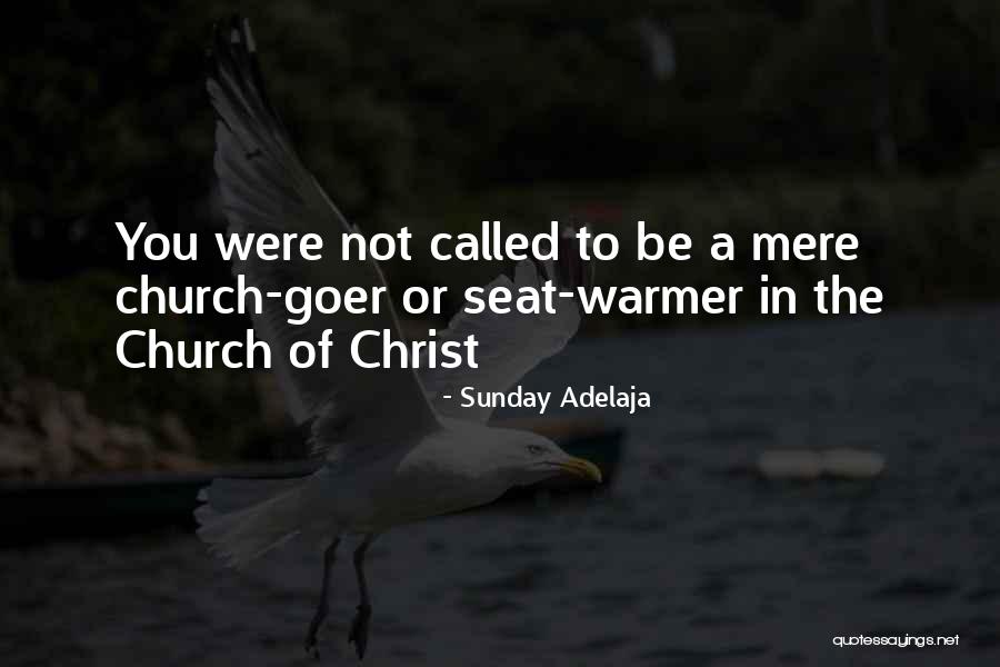 Church Goer Quotes By Sunday Adelaja