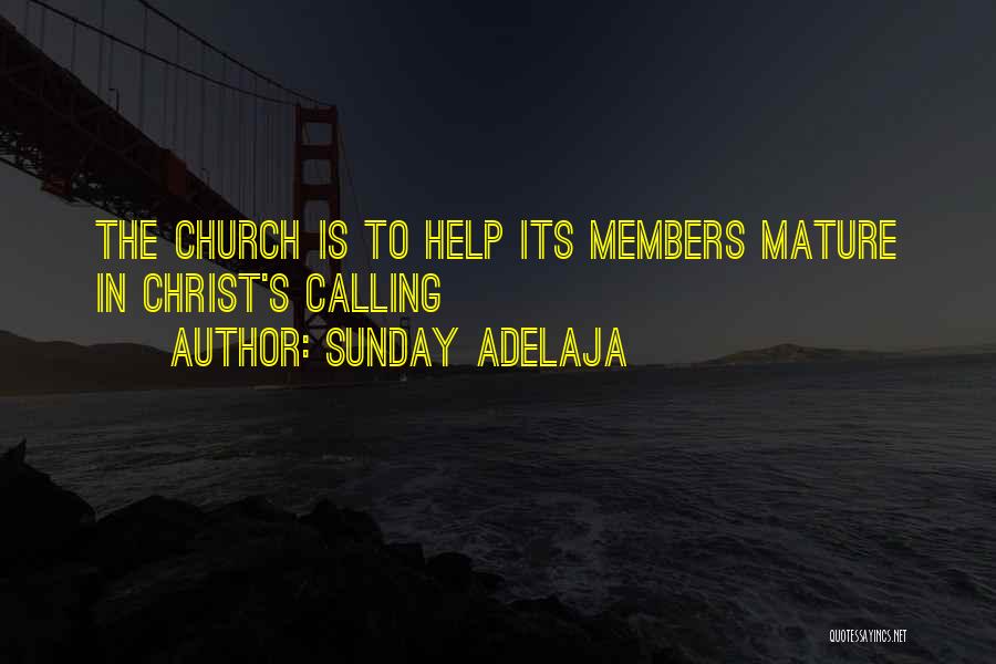 Church Members Quotes By Sunday Adelaja