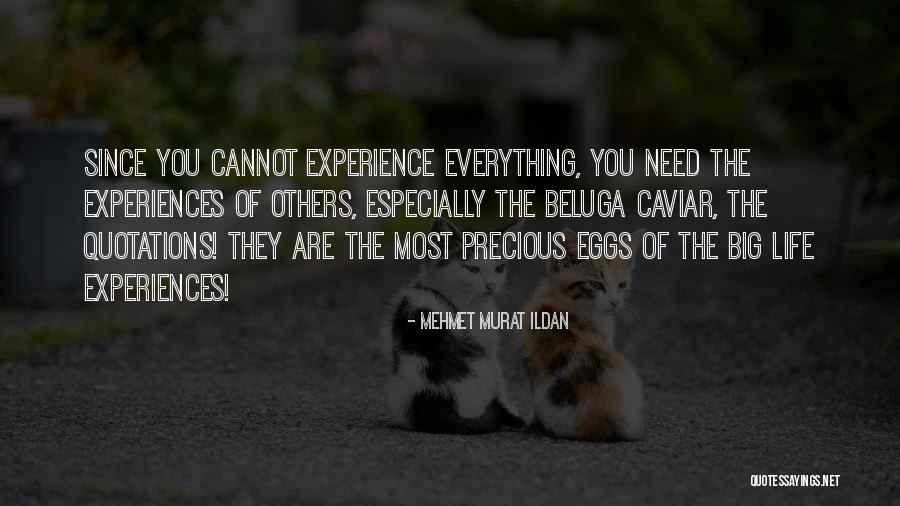 Churns Disease Quotes By Mehmet Murat Ildan Churns Disease Quotes By Mehmet Murat Ildan
