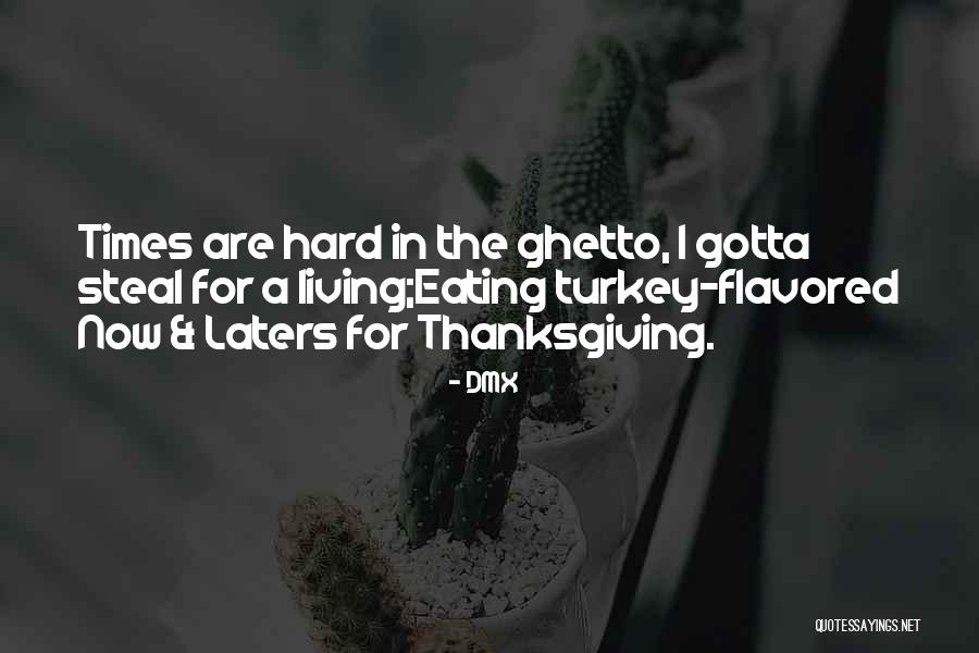 Chye Hin Quotes By DMX Chye Hin Quotes By DMX