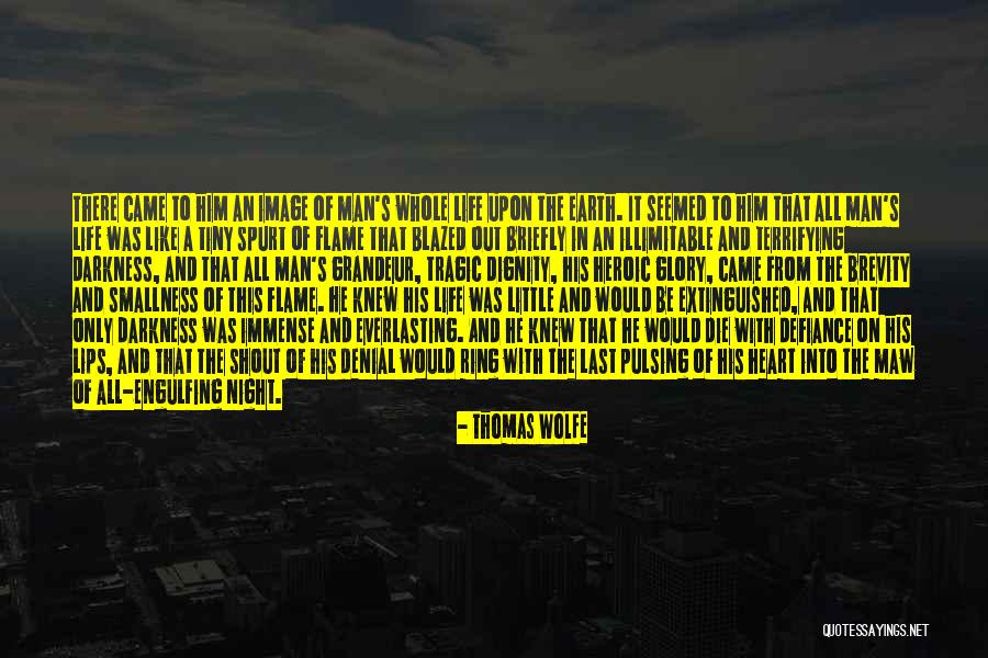 Chymia Labs Quotes By Thomas Wolfe Chymia Labs Quotes By Thomas Wolfe