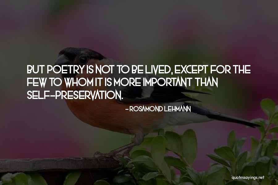 Chyten Millburn Quotes By Rosamond Lehmann Chyten Millburn Quotes By Rosamond Lehmann
